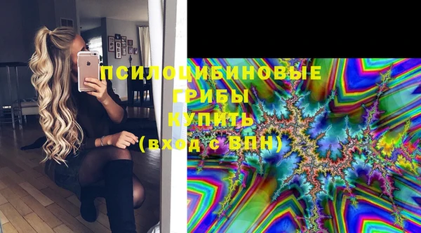 ECSTASY Абаза