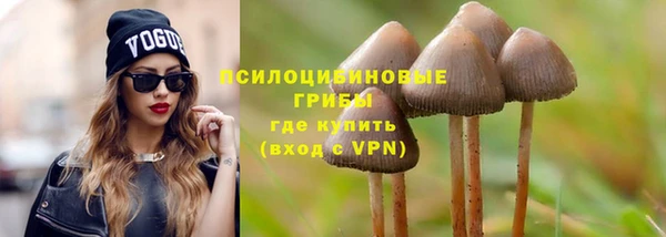 ECSTASY Абаза