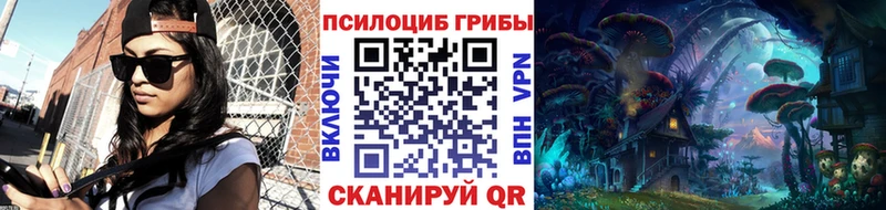 купить   Карпинск  kraken ссылки  Псилоцибиновые грибы Magic Shrooms 